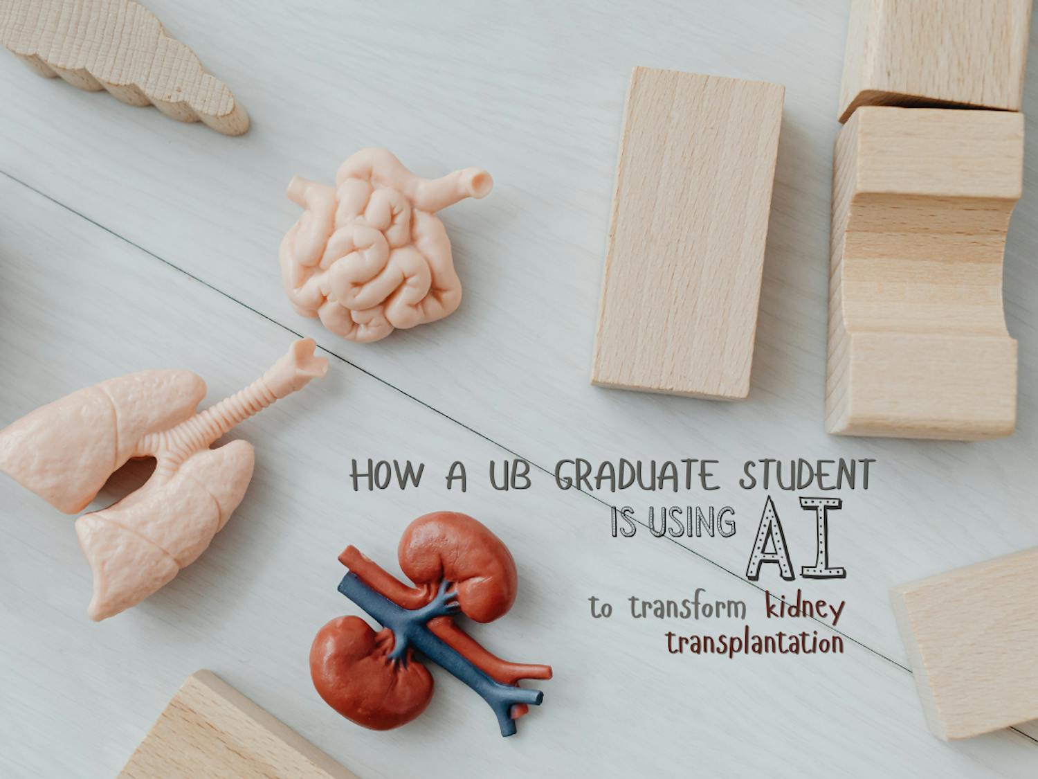 A graphic about a UB graduate student using AI to transform kidney transplantation.