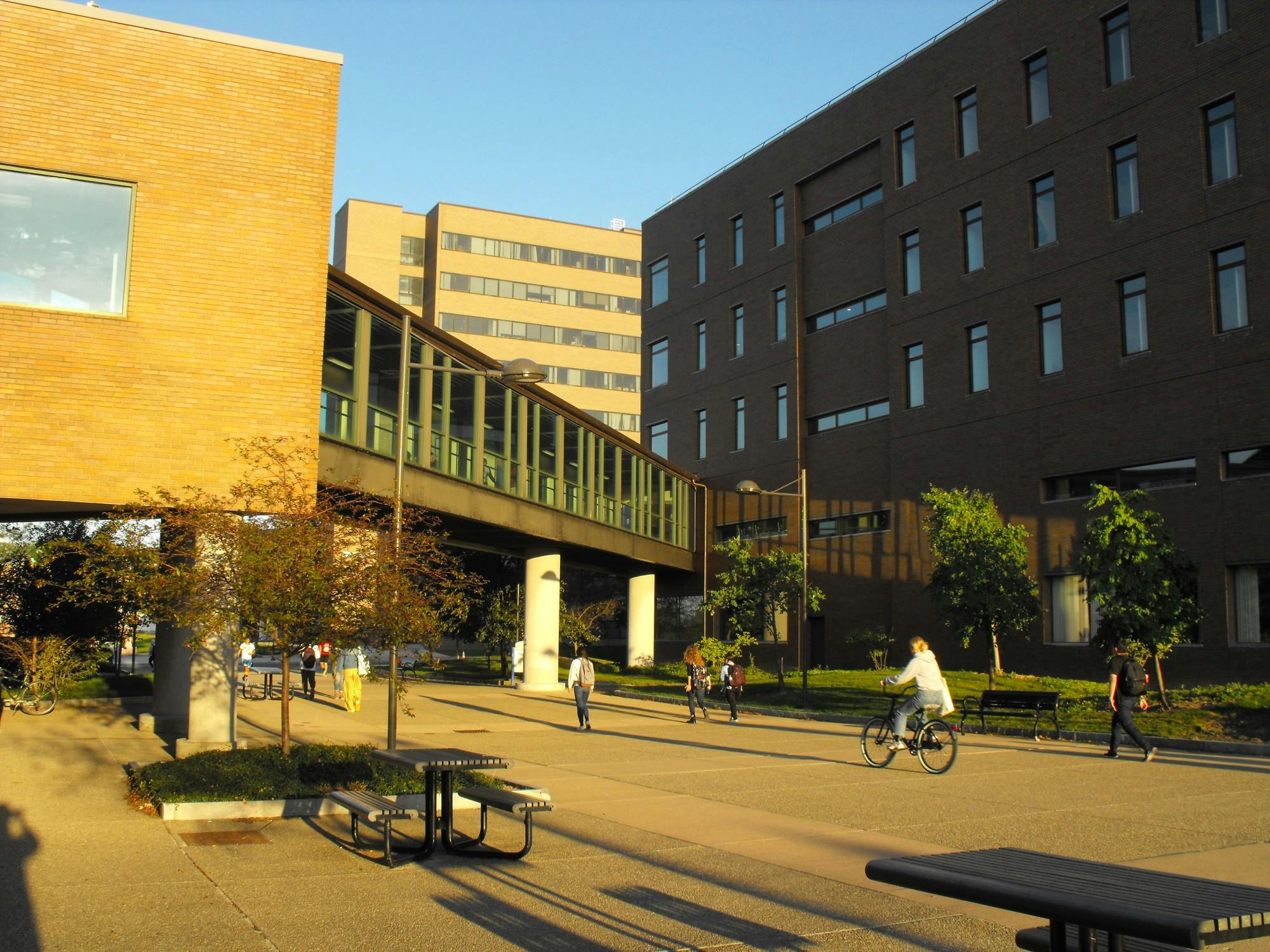 Further plans for the fall semester will be shared with the campus community in the coming months, Tripathi and Weber wrote.