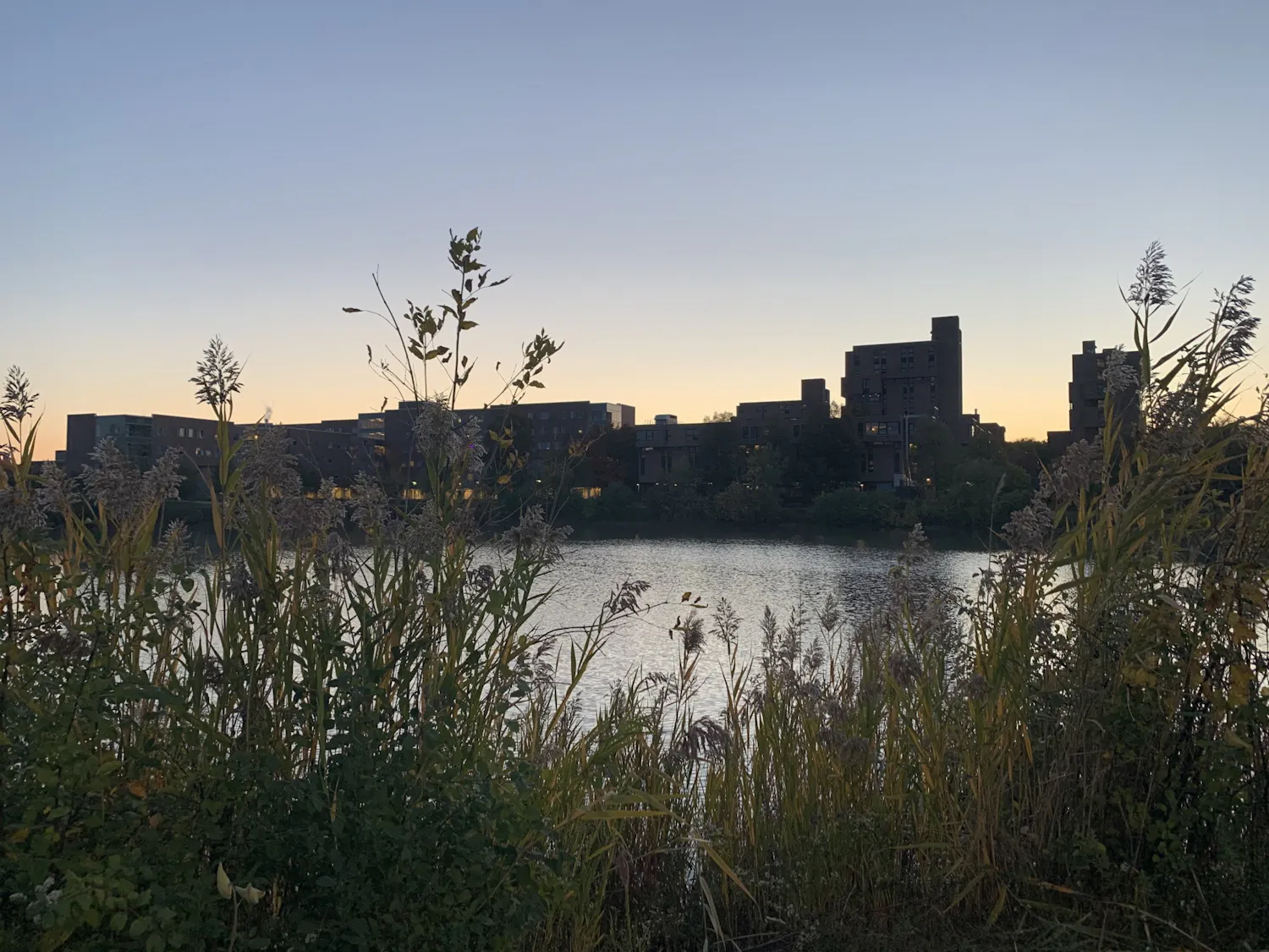 Students have expressed concerns over UB's decision to continue in-person instruction 