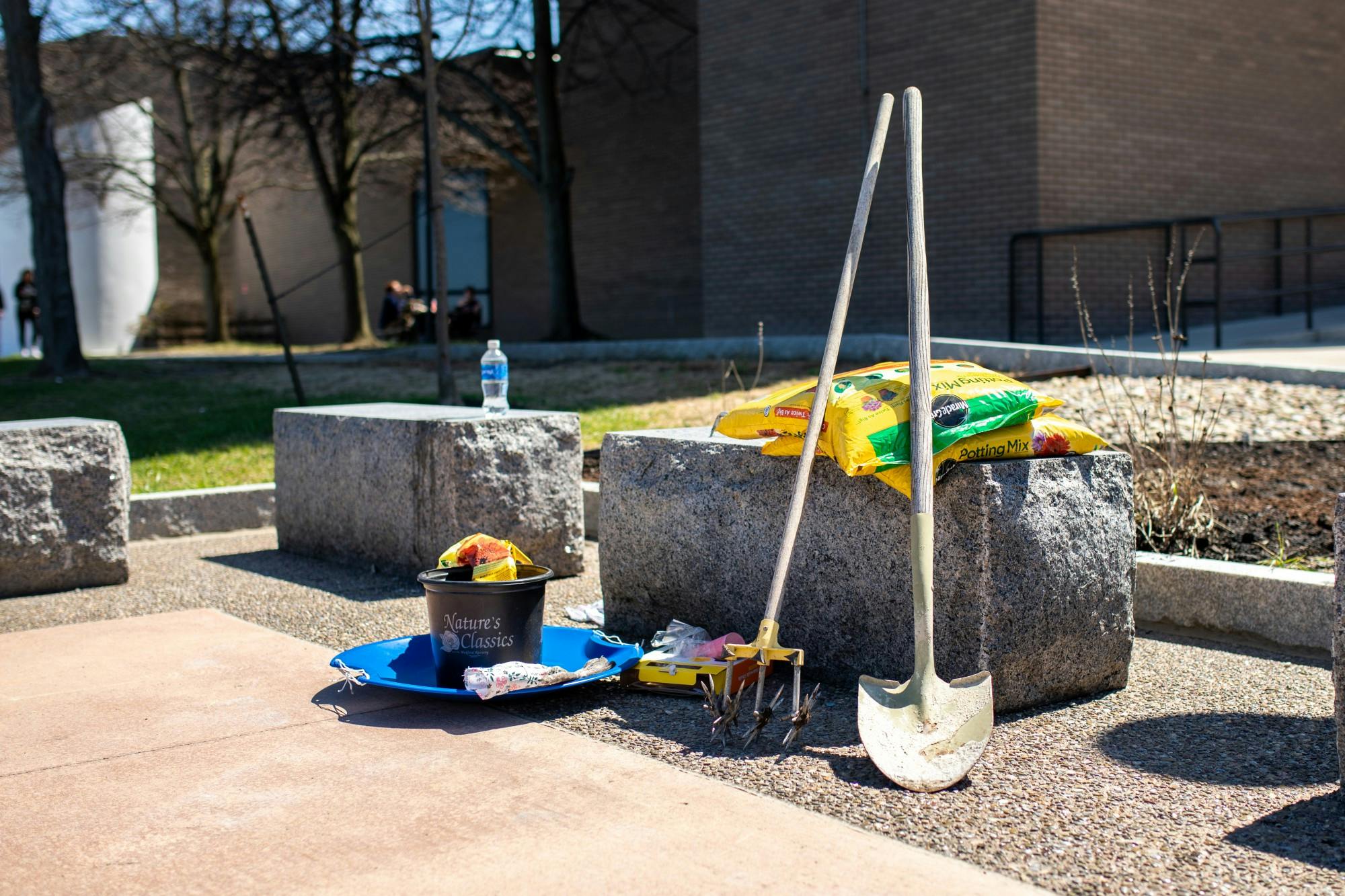 Friends of Ukraine and Active Minds planted flowers across campus to express support for the Ukrainian people.