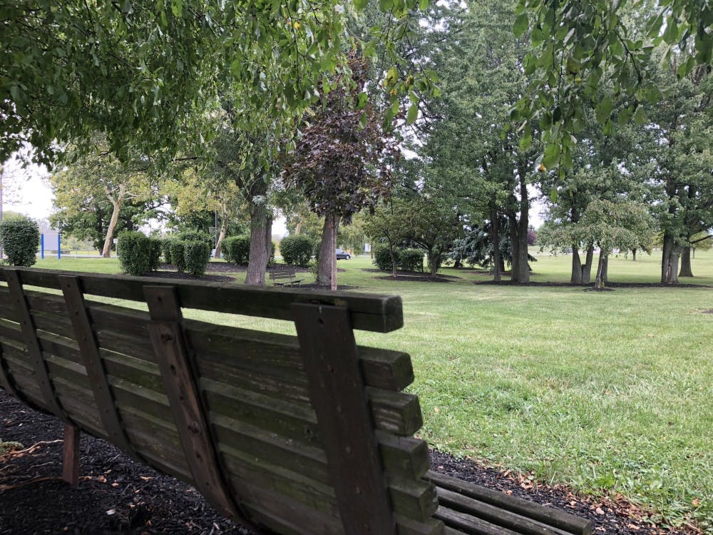 <p>The Puffer Grove, located on North Campus, is one of a number of “secret” locations students don’t tend to use. The grove features a moderate display of environmental growth, and has shades of serenity despite the nearby highway.</p>