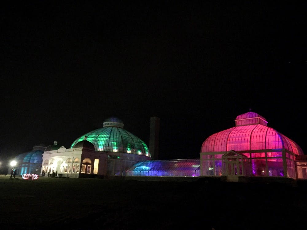 <p>Different colored lights transformed the plant life in the Buffalo Botanical Gardens. The Botanical Gardens wrapped up its seventh annual Lumagination display this Tuesday.</p>