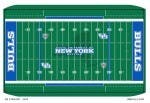 The Bull&#39;s will be playing on a new field this year that promotes the &quot;The New York Bulls Iniative&quot;&nbsp;Courtsey of UB Athletics&nbsp;