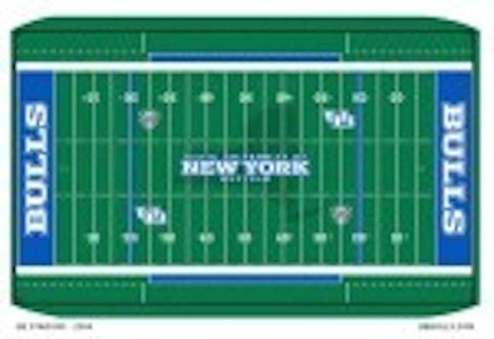 The Bull&#39;s will be playing on a new field this year that promotes the &quot;The New York Bulls Iniative&quot;&nbsp;Courtsey of UB Athletics&nbsp;