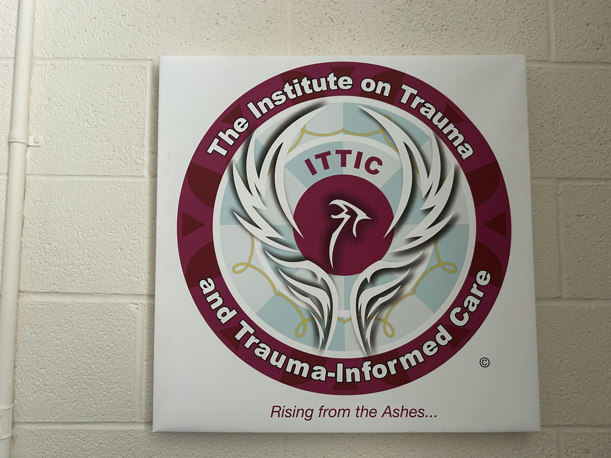 The Institute on Trauma and Trauma-Informed Care.