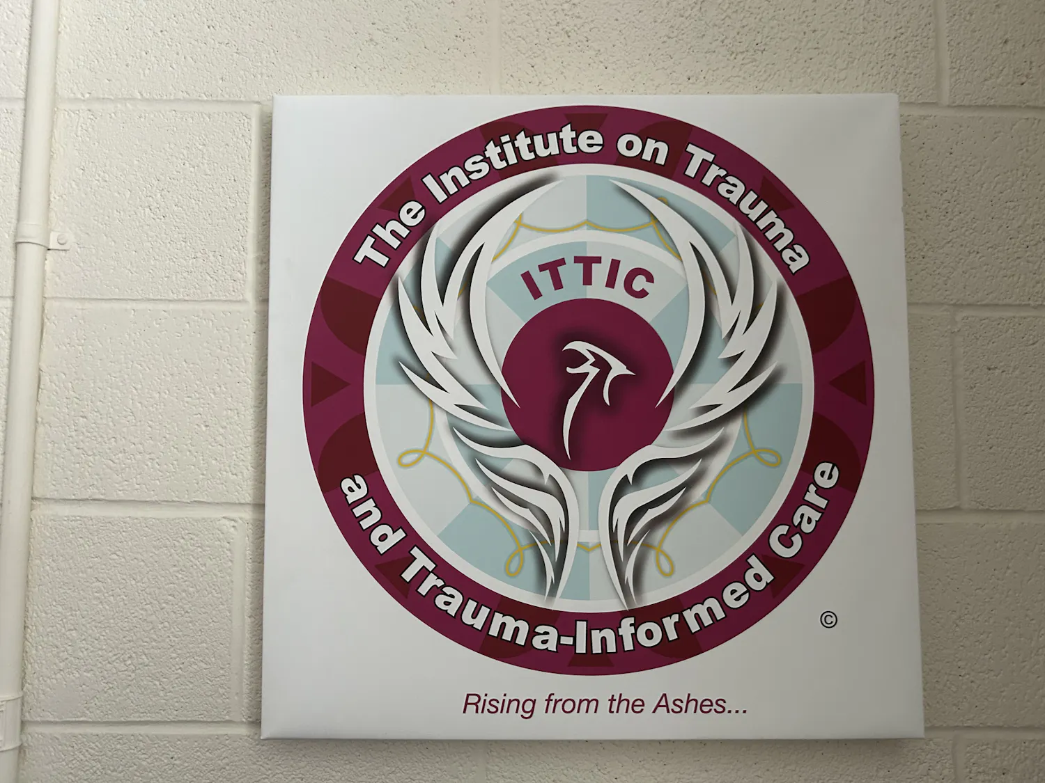 The Institute on Trauma and Trauma-Informed Care.