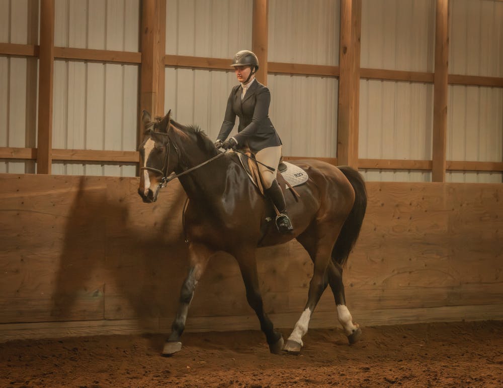 <p>UB Equestrian.</p>