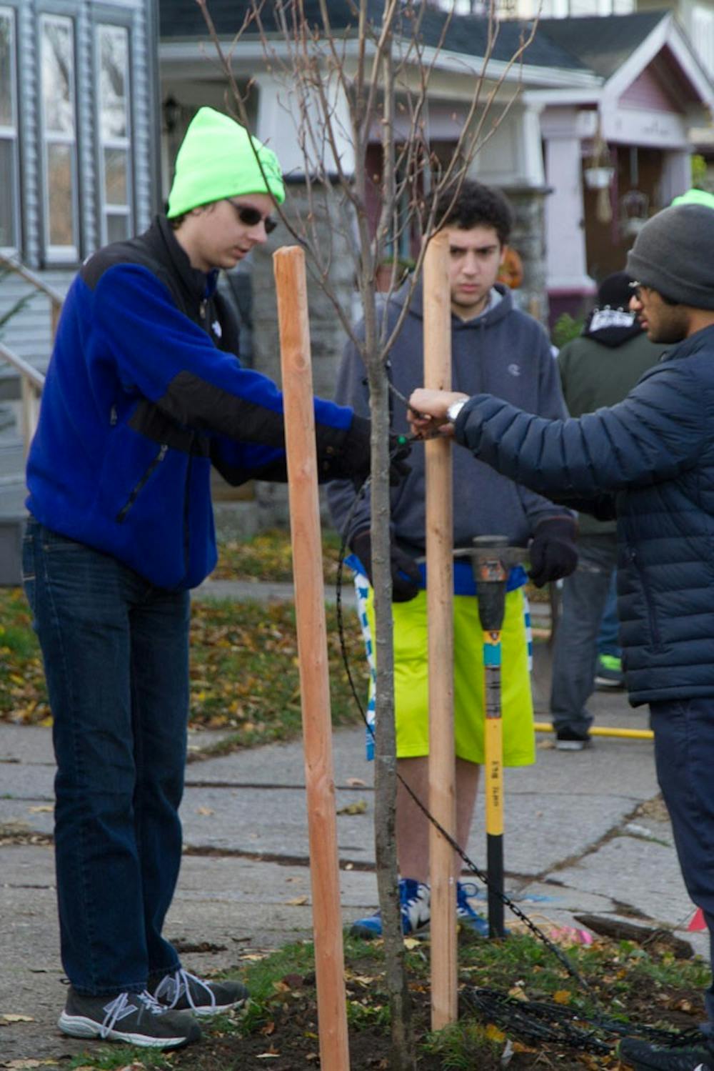 <p>The third installation of the Re-Tree the District project was held Saturday, with many more volunteers this time around. The goal of the project is to plant 1,000 trees in the Heights neighborhood to improve aesthetics.</p>