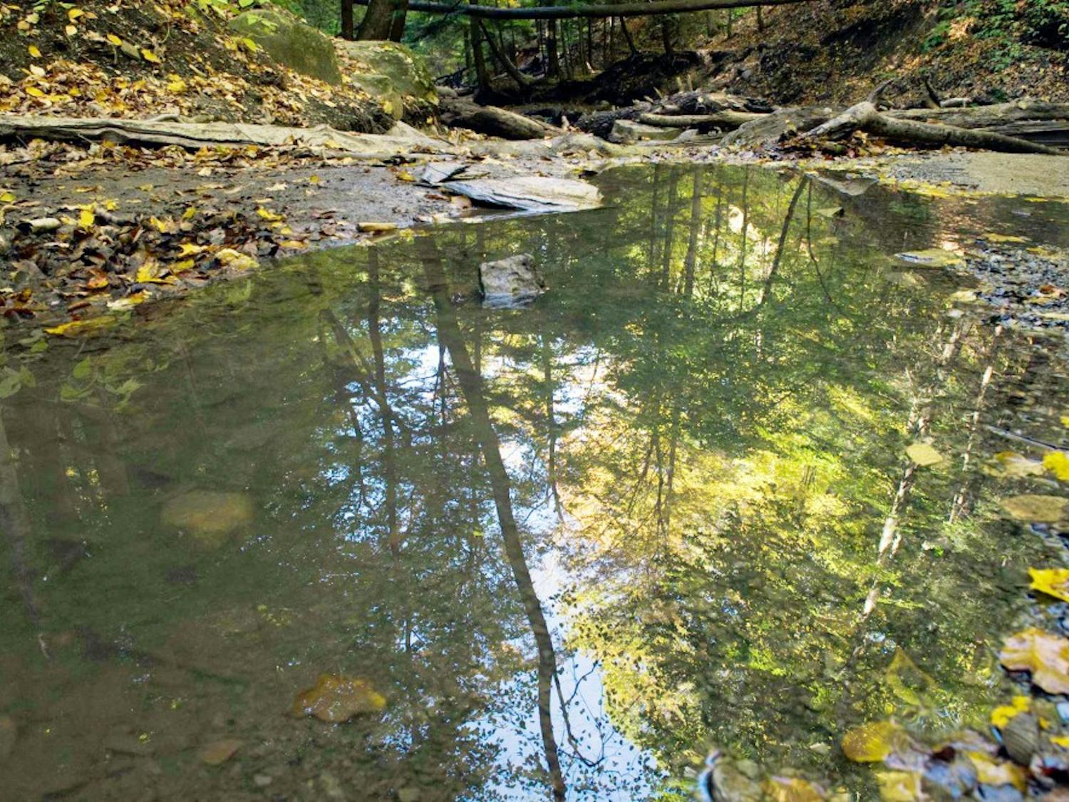 Chestnut Ridge State Park offers plenty of running, biking and hiking trails. 