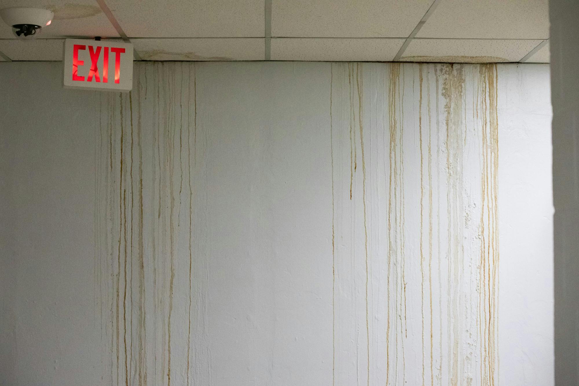 Leaks in the tunnel/hallway between Knox Hall and Student Union have caught the eye of some UB students.
