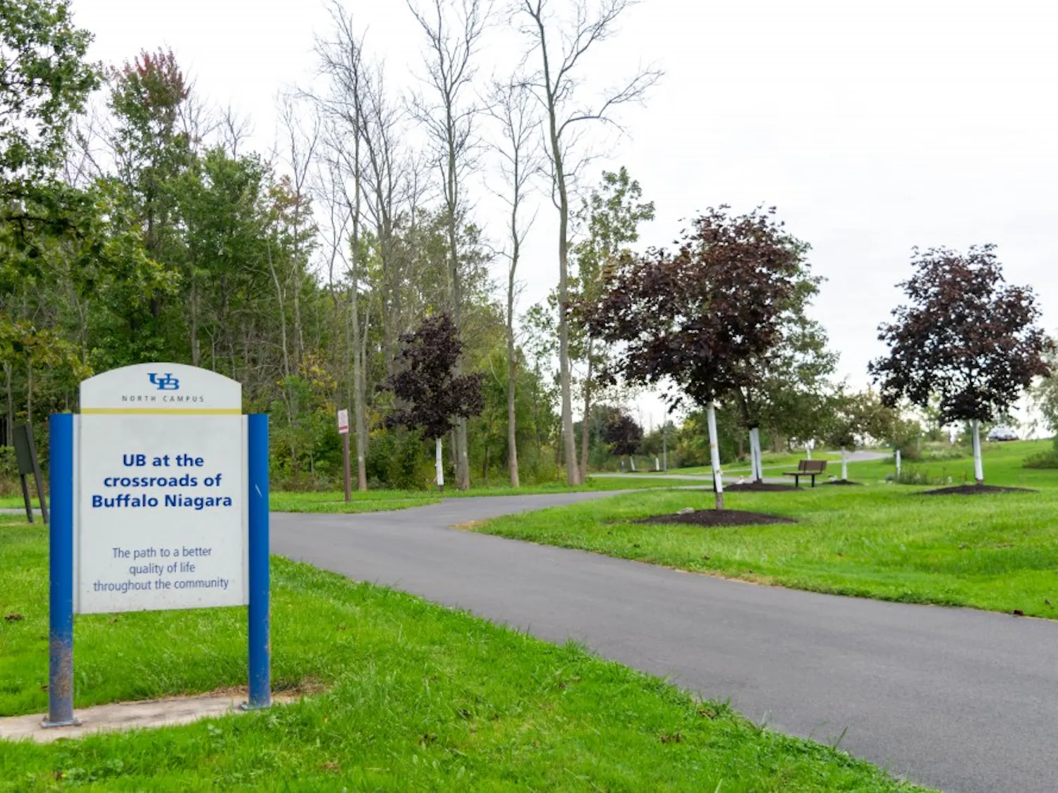 Deer, squirrels and other wildlife graze UB’s land every day near the Ellicott Creek. The land east of the Millersport Highway is mostly undeveloped but features part of the Ellicott Creek trailway system.