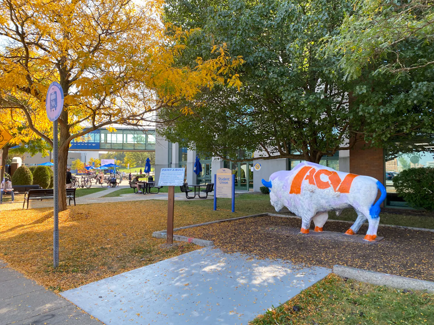 Fall is finally setting on UB's campus. Students are getting ready for festive drinks, apple picking and the scariest part of the semester, midterms.