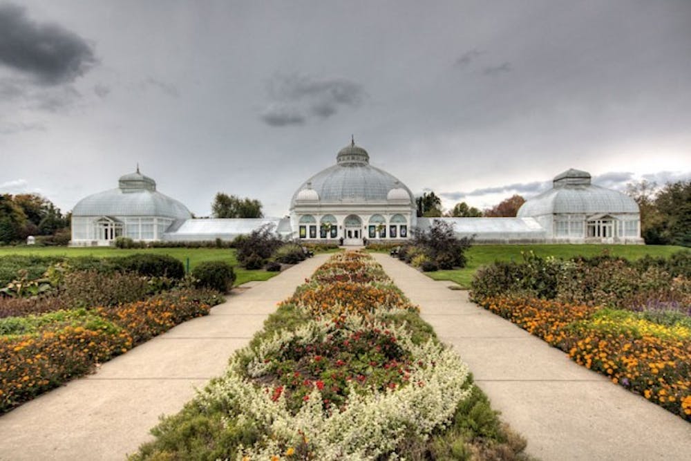 The Buffalo and Erie County Botanical Gardens has two new exhibits you and your lover can explore on Valentine&rsquo;s Day &ndash;&nbsp;Orchids and Lumagination.&nbsp;Courtesy of Flickr user Miles Bintz