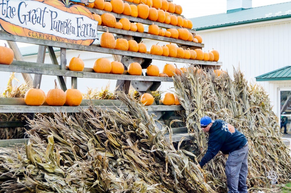 <p>Pumpkin patches around Buffalo, like The Great Pumpkin Farm, are a perfect Halloween activity to try if you’re not a big fan of haunted houses or other scary Halloween activities.</p>