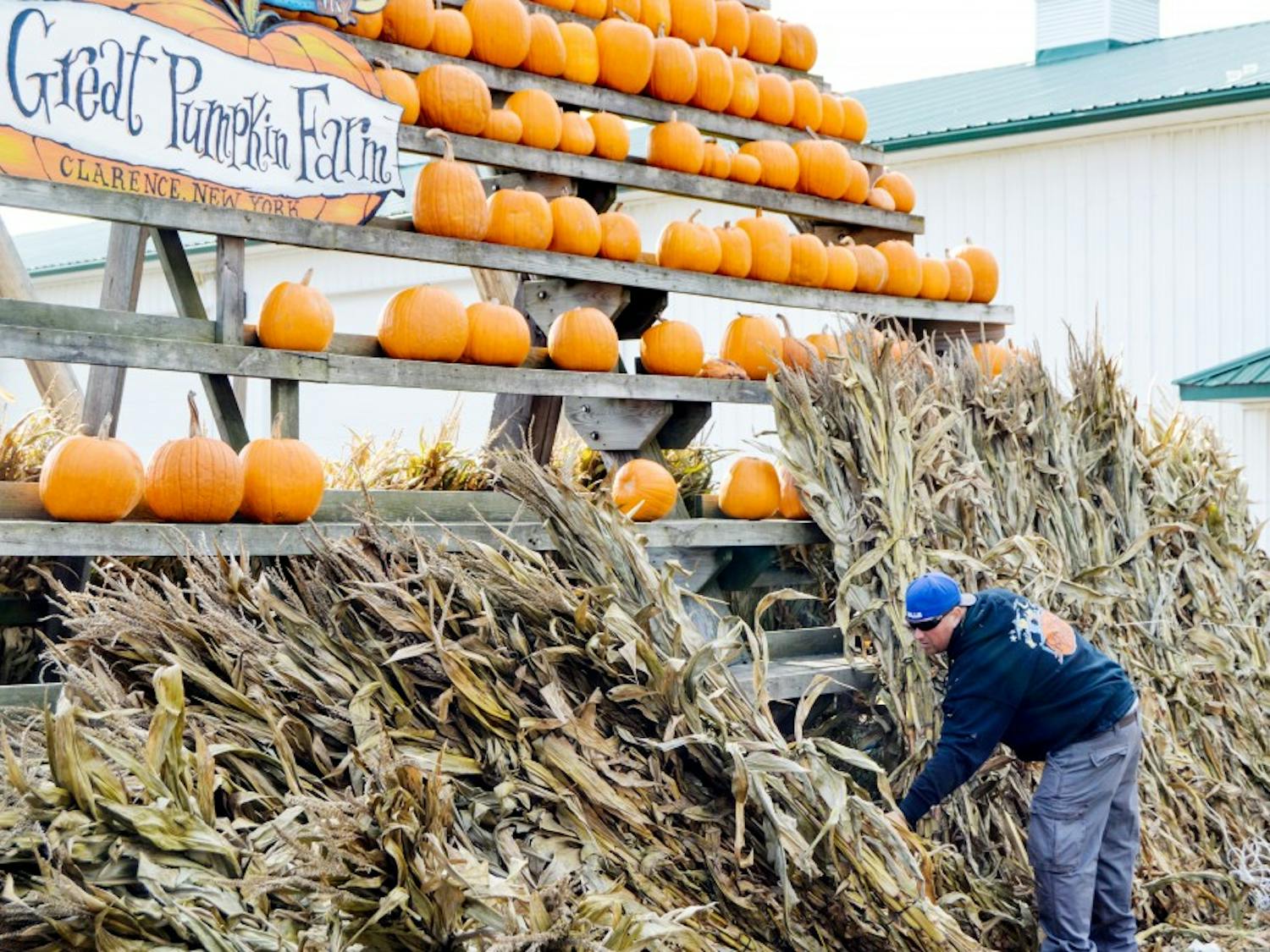 Pumpkin patches around Buffalo, like The Great Pumpkin Farm, are a perfect Halloween activity to try if you’re not a big fan of haunted houses or other scary Halloween activities.