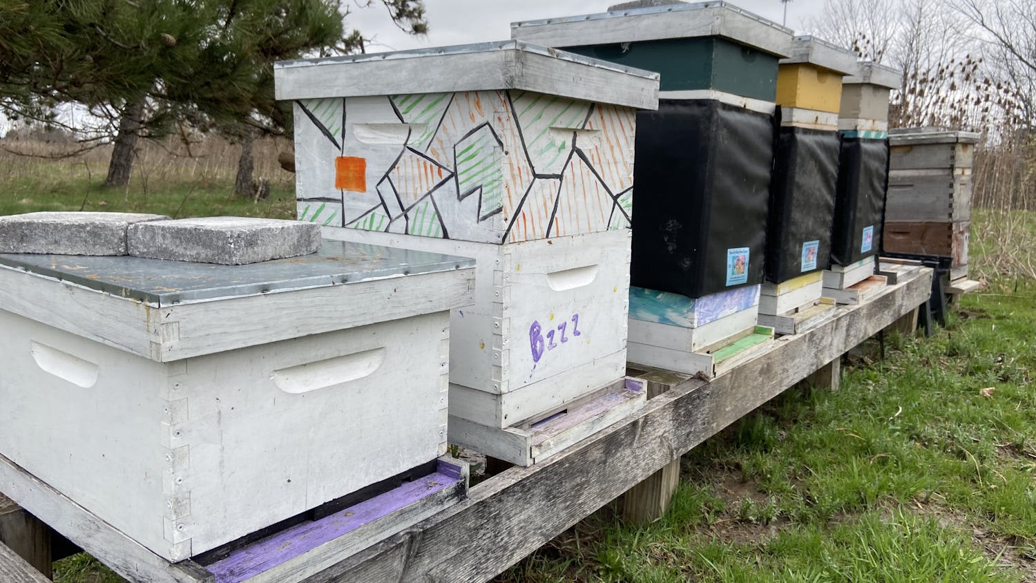 The beehives, located between Crofts Hall and Bizer Creek on UB's North Campus, produce about 55 gallons of honey a year.