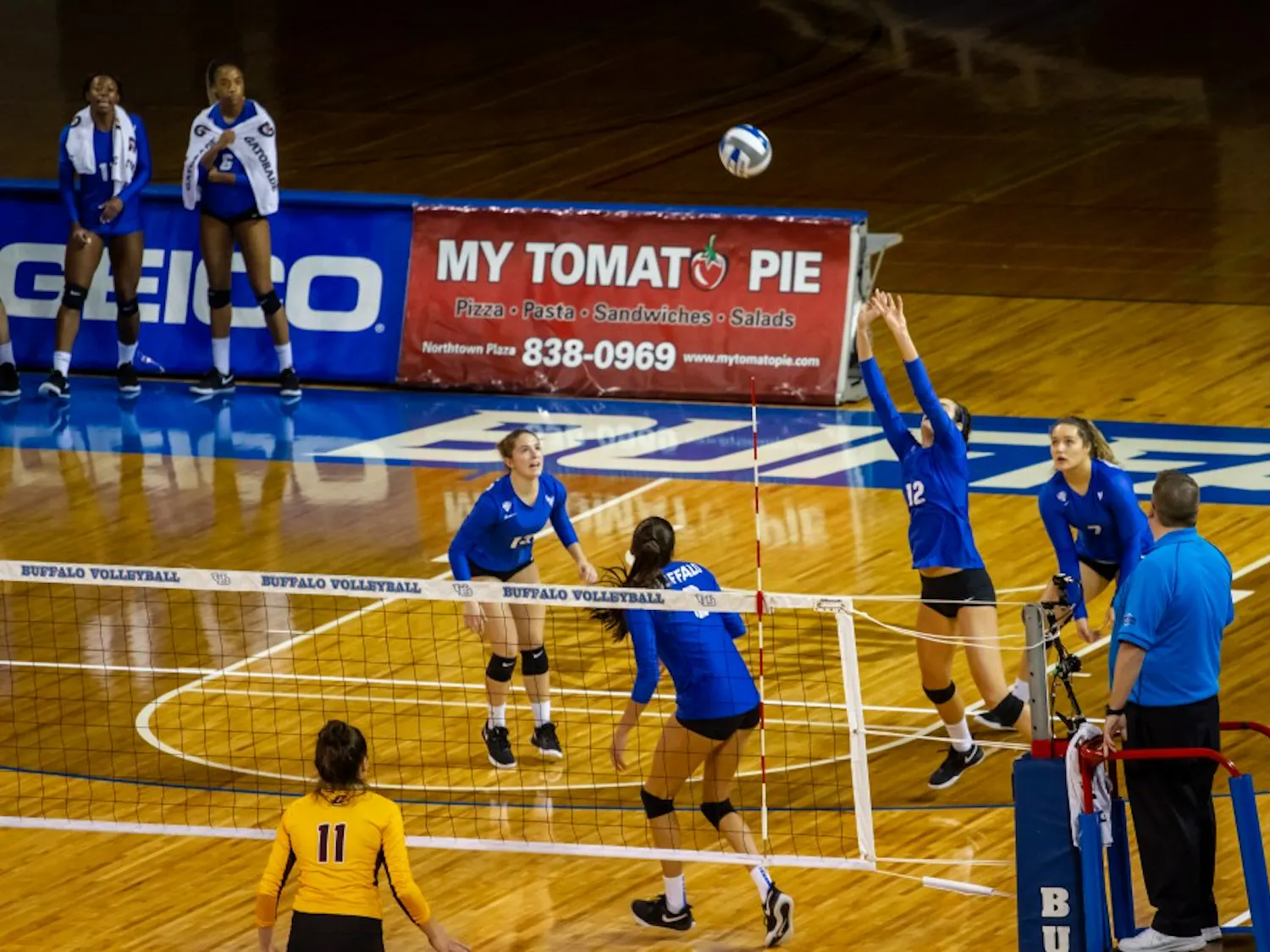 The Bulls get ready to return the ball at Alumni Arena. Buffalo had 28 attack errors against Central Michigan on Saturday night leading to a poor .200 kill percentage.