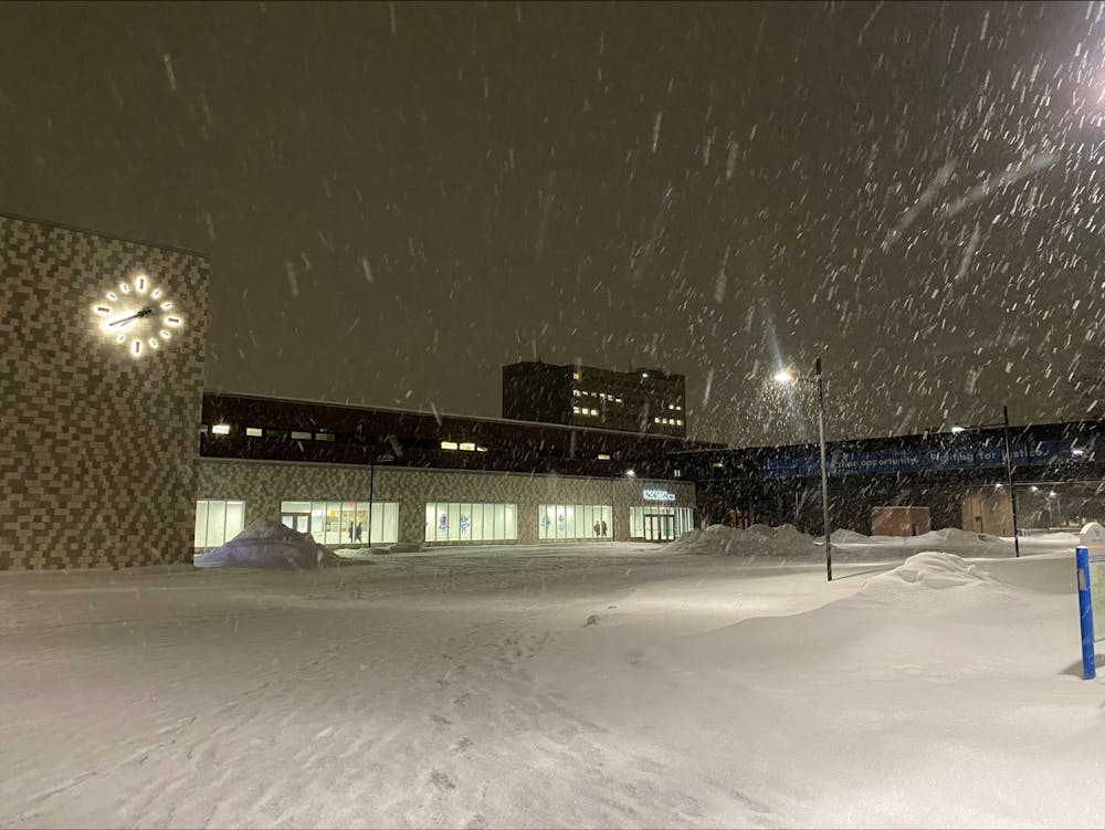 Snow falling in front of UB's Norton Hall.