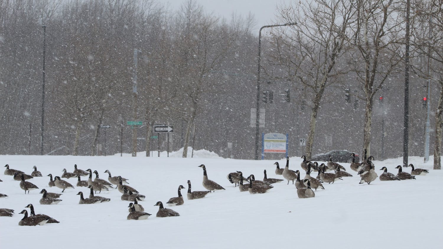 UB will continue following its Adverse Weather Operations Policy, which was established in 2017, to make schedule changes in the face of adverse weather conditions.	