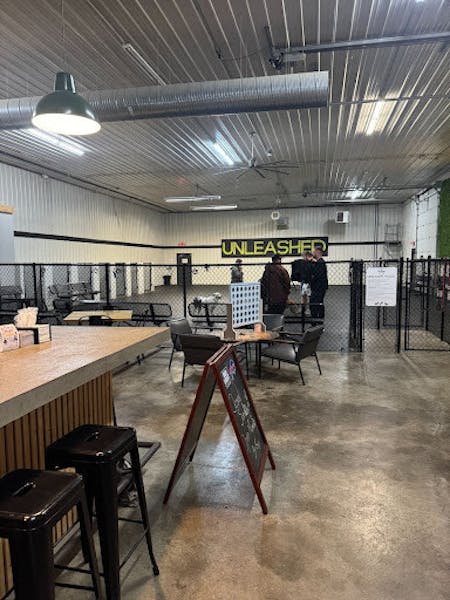 Where Buffalo Nightlife Meets the Dog Park: A Unique Urban Experience