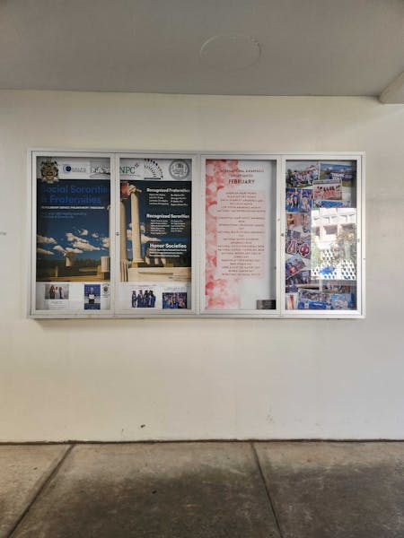 Going Greek at UB - The Spectrum