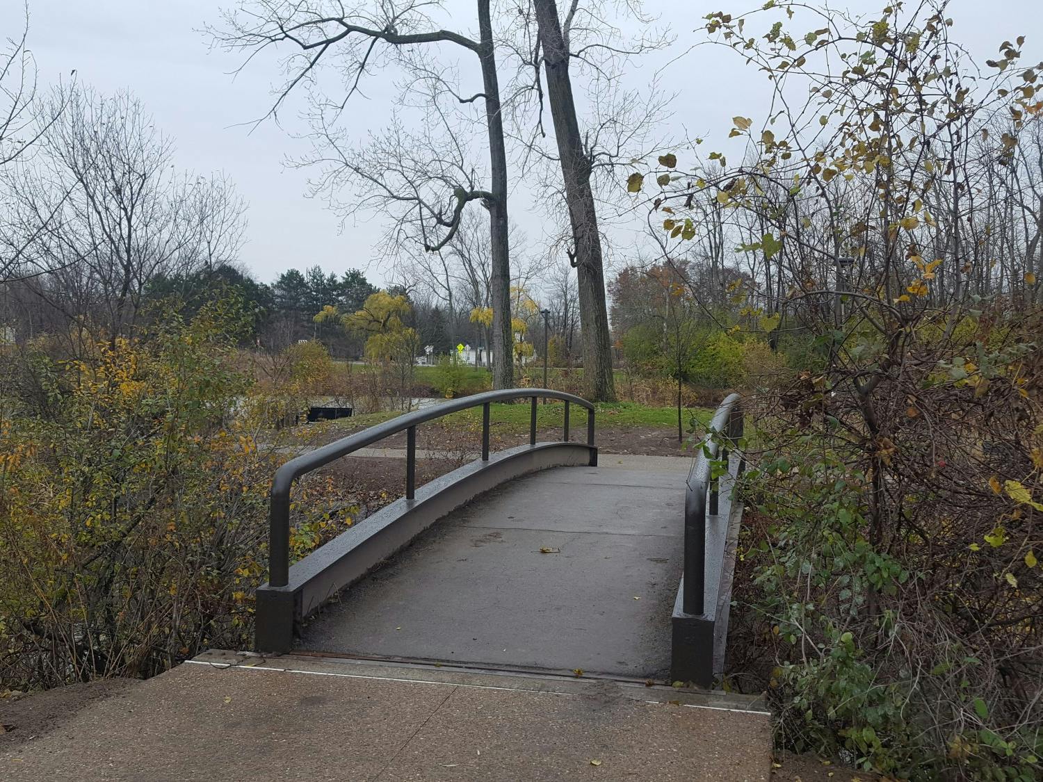Situated near Wilkeson Quadrangle, Kanazawa Island is a little-known formation on UB’s vast campus.