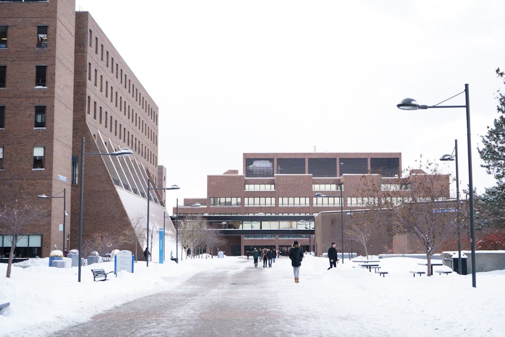 academic-spine-snow-photo-christine