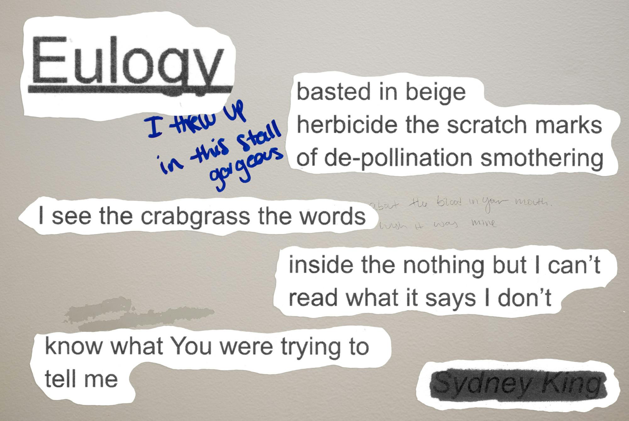 Excerpts from the poem, "Eulogy for the Bathroom Graffiti in Student Union".