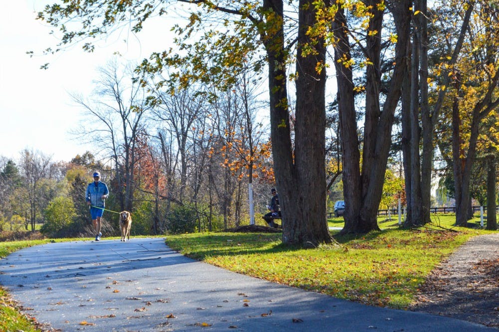 <p>There are some beautiful places in Buffalo to explore, especially trails, since they offer the opportunity to exercise and get outside. Though some trails are intended for running, others are just part of local parks.</p>