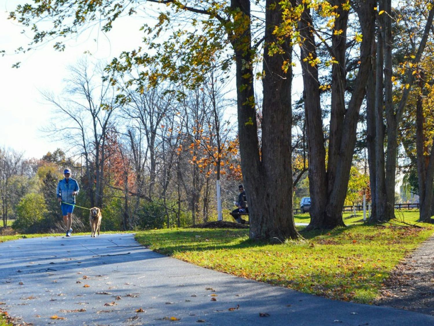 There are some beautiful places in Buffalo to explore, especially trails, since they offer the opportunity to exercise and get outside. Though some trails are intended for running, others are just part of local parks.