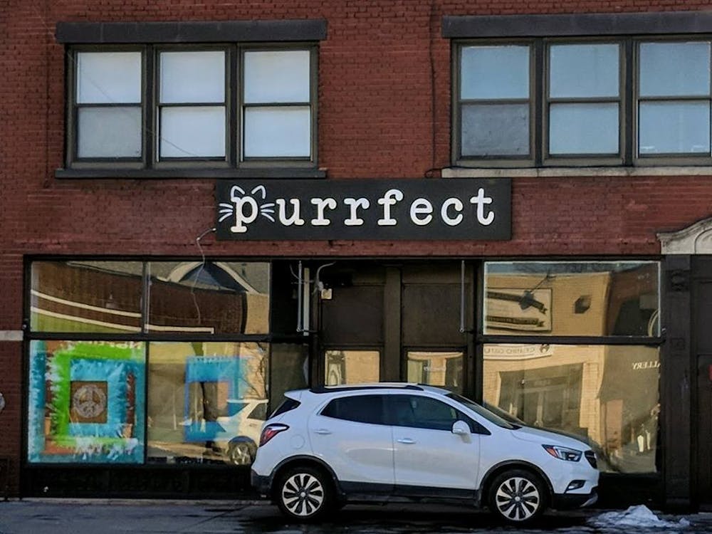<p>Roughly a dozen furry creatures will roam Buffalo's first ever cat cafe. The cafe will be located just a few minutes from UB's South Campus and feature an adjacent, full-service restaurant.&nbsp;</p>