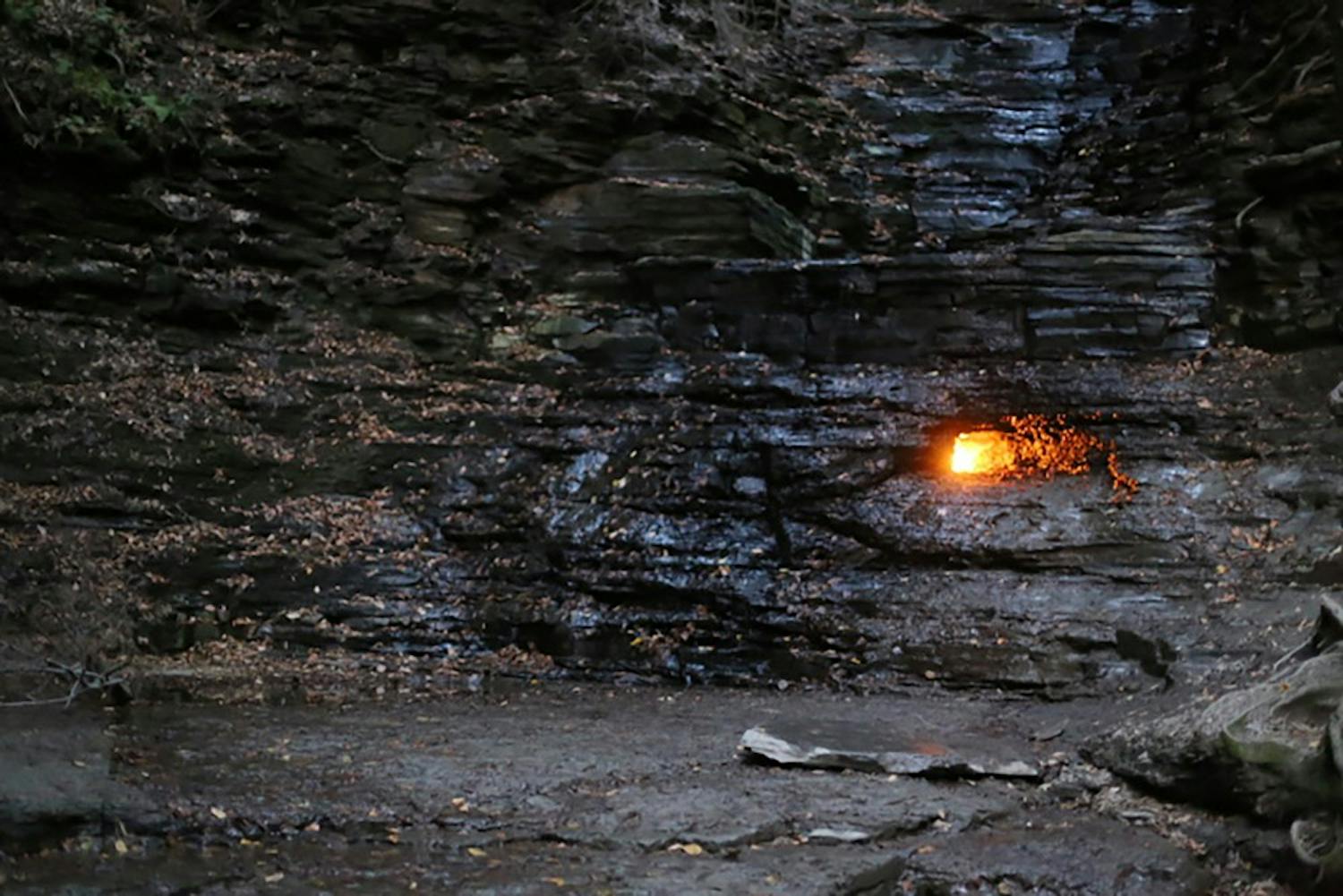 The Eternal Flame trail in Chestnut Ridge Park is a great trail for beginner and experienced hikers. The natural gas that fuels the flame runs year-round, keeping the flame lit all day.