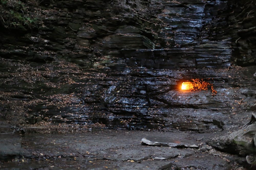 <p>The Eternal Flame trail in Chestnut Ridge Park is a great trail for beginner and experienced hikers. The natural gas that fuels the flame runs year-round, keeping the flame lit all day.</p>