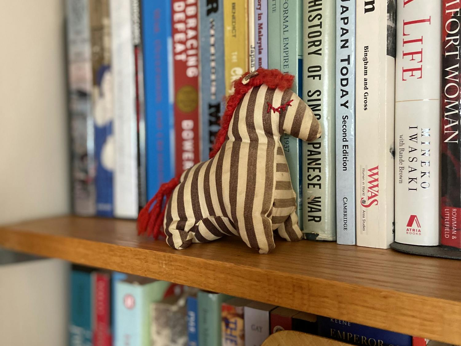 A stuffed zebra in Kristin Stapleton's office, a gift from her family.