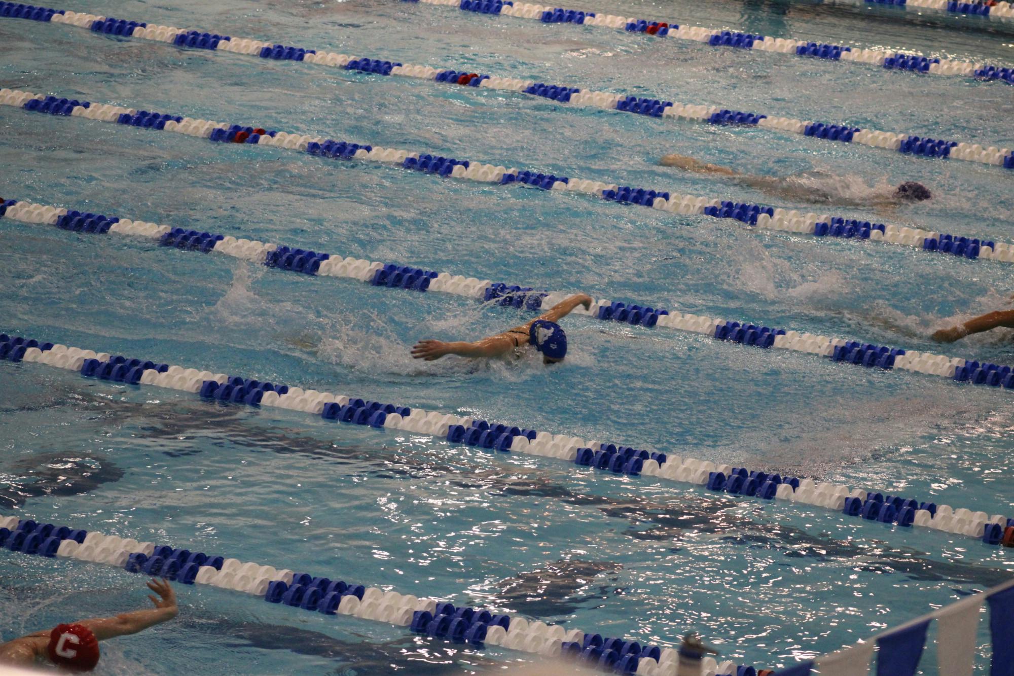 First Swim and Dive meet of the season.