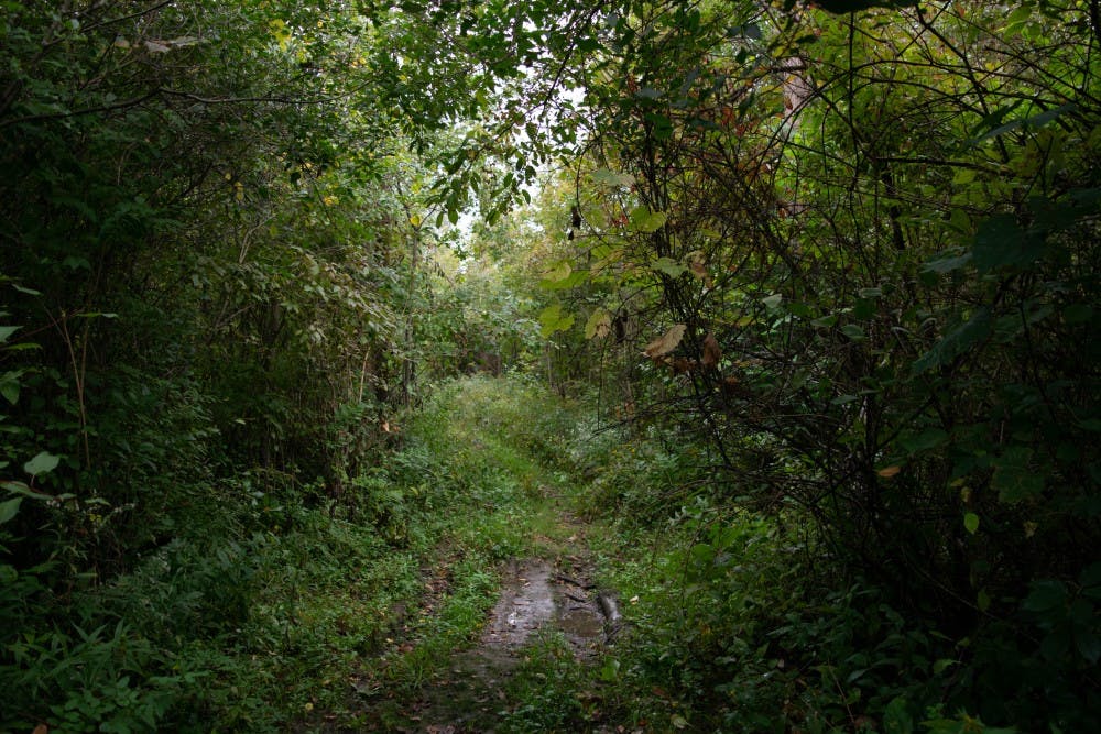 <p>Nature View Park, located off of Tonawanda Creek Road, resides on the land purchased by the Faculty Student Association in 1964. FSA originally planned for a $100,000 golf course on the land, but sold the land for $1.37 million in 1987.</p>