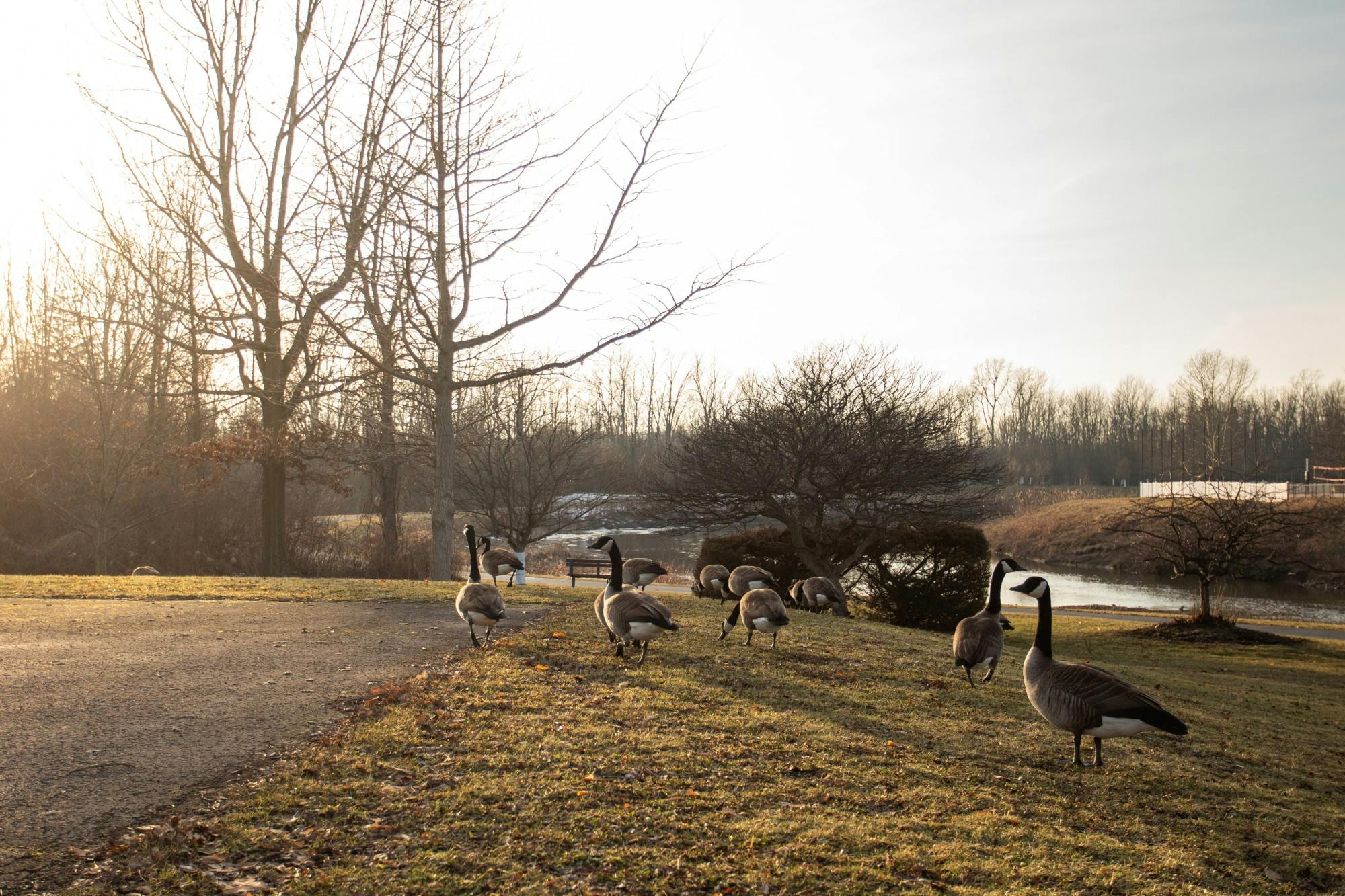 UB said it will “continue to monitor” the bird flu and echoed assessments of the outbreak as a “public health concern” with low “immediate health risk.”