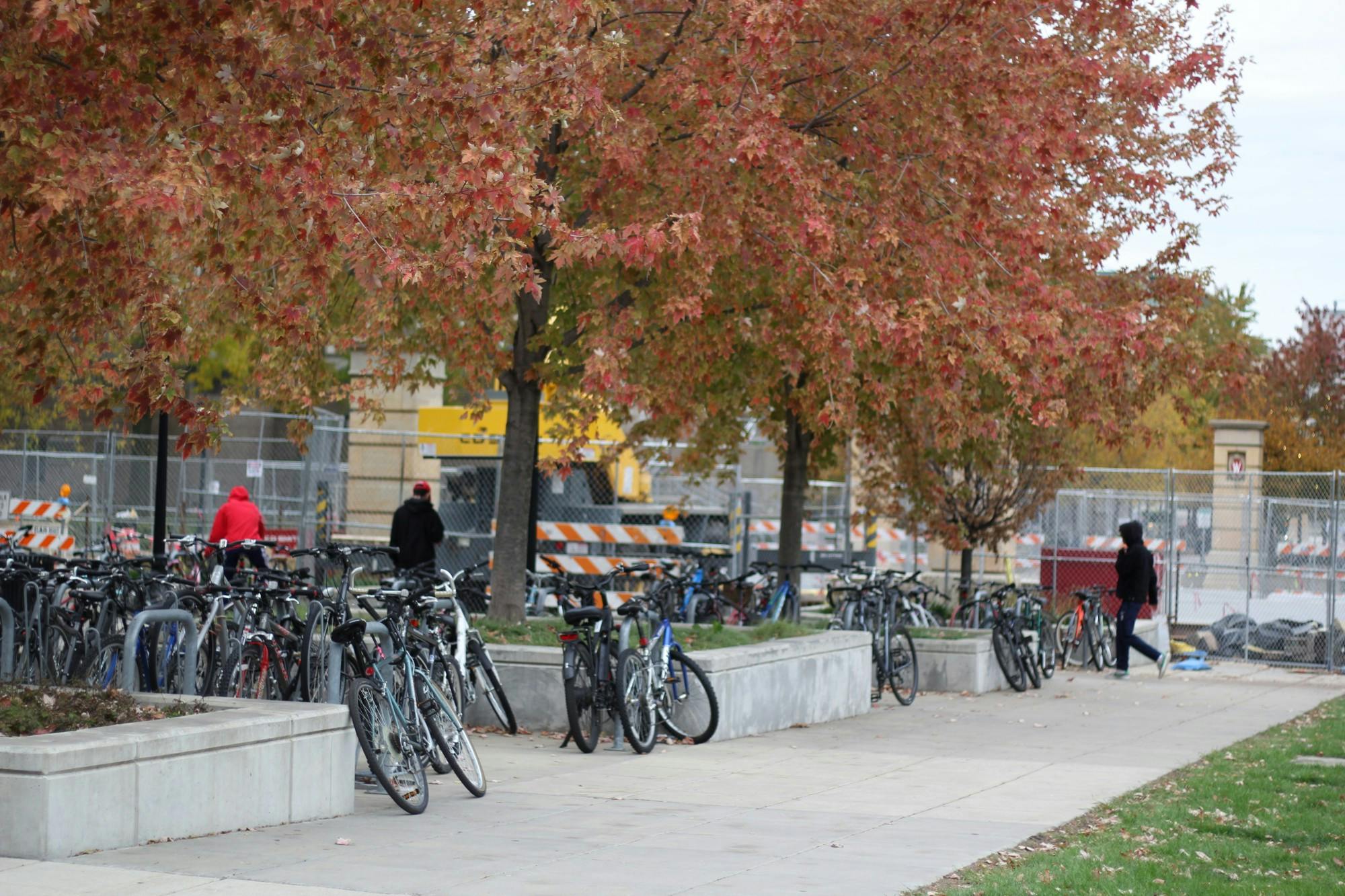 Bikes-1.JPG