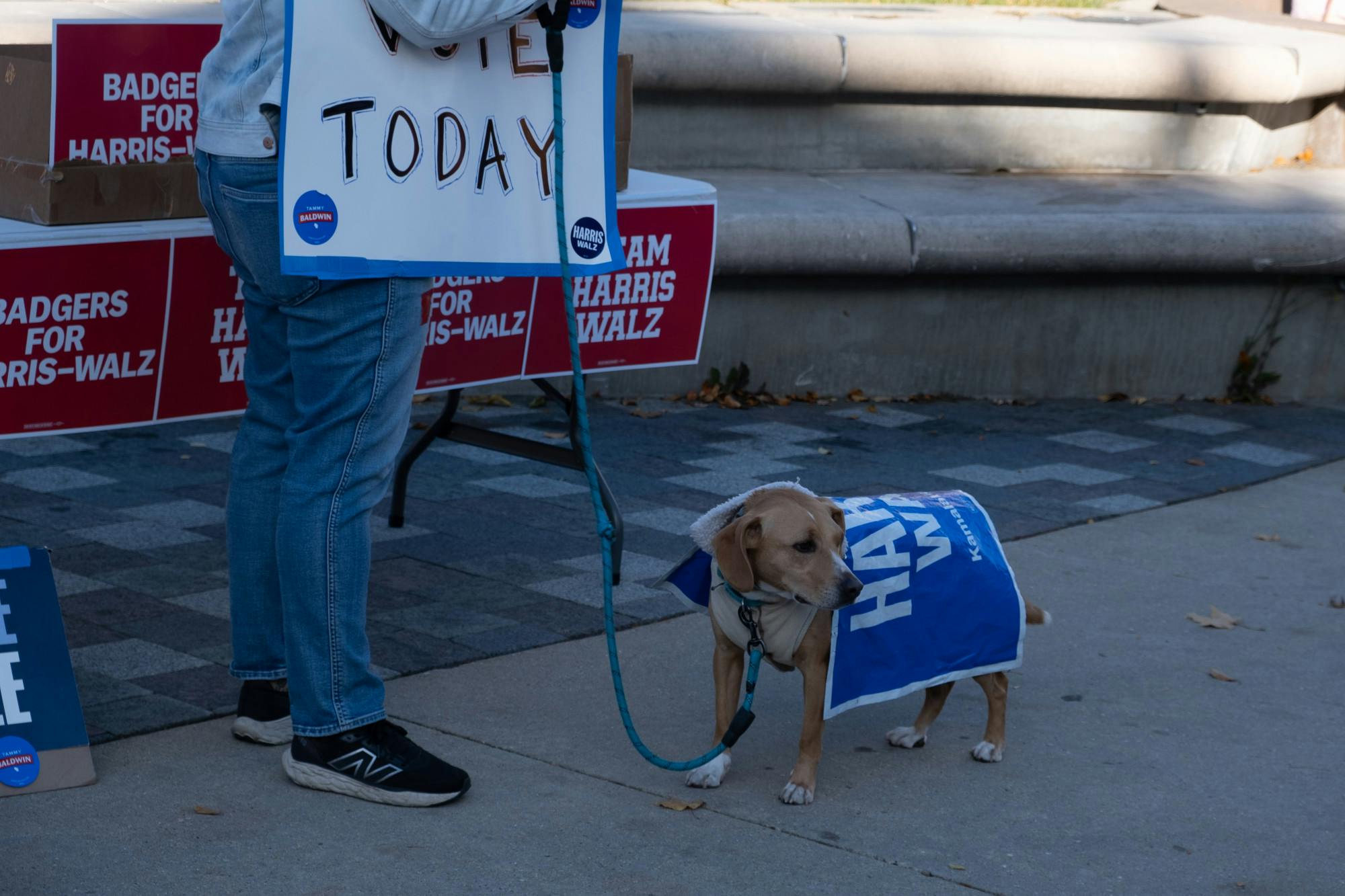 Dems_Voting_Block_Party-09.jpg