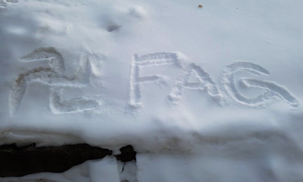 A swastika and the homosexual slur “FAG” were discovered written in the snow between Botany Gardens and Chamberlin Hall early Tuesday morning.