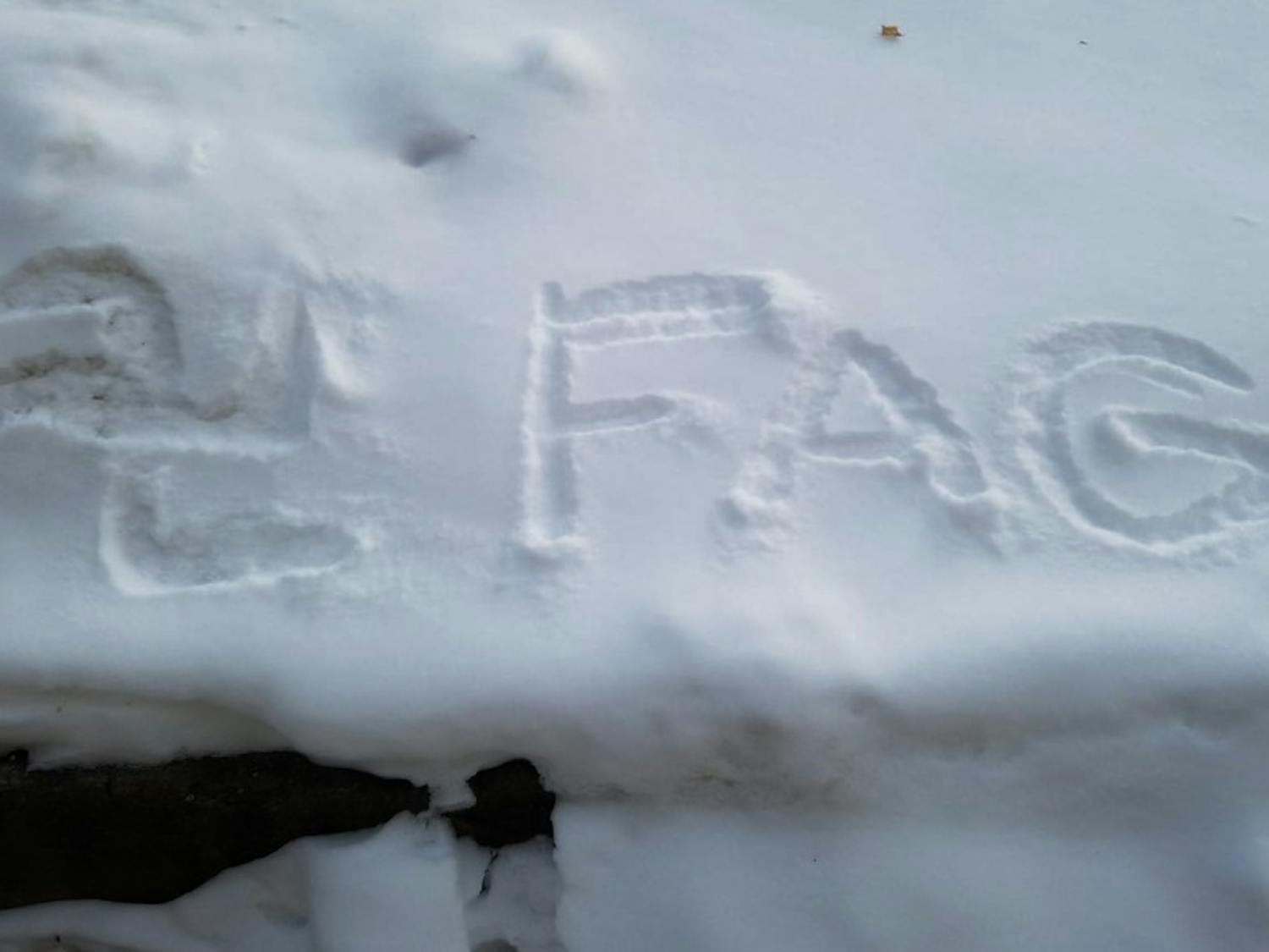 A swastika and the homosexual slur “FAG” were discovered written in the snow between Botany Gardens and Chamberlin Hall early Tuesday morning.
