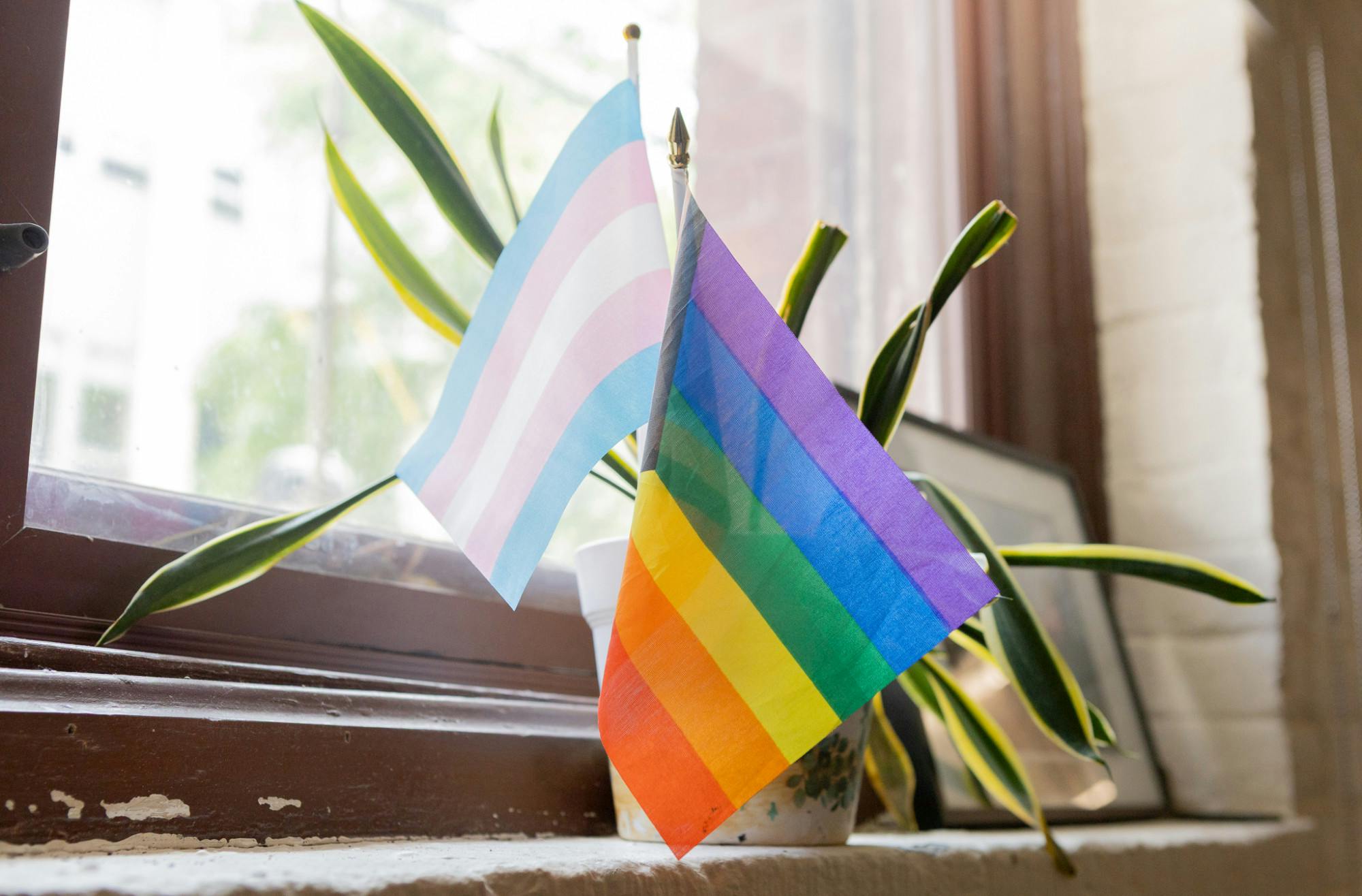 26-6-9_Mintz_GSCCMiniFlags.jpg