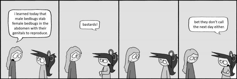 03/07/2011 - Evil Bird