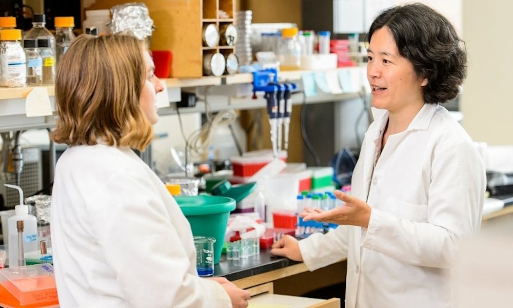 Bacteriology professor Jue “Jade” Wang was named a Howard Hughes Medical Institute Faculty Scholar and will receive funding for laboratory research.