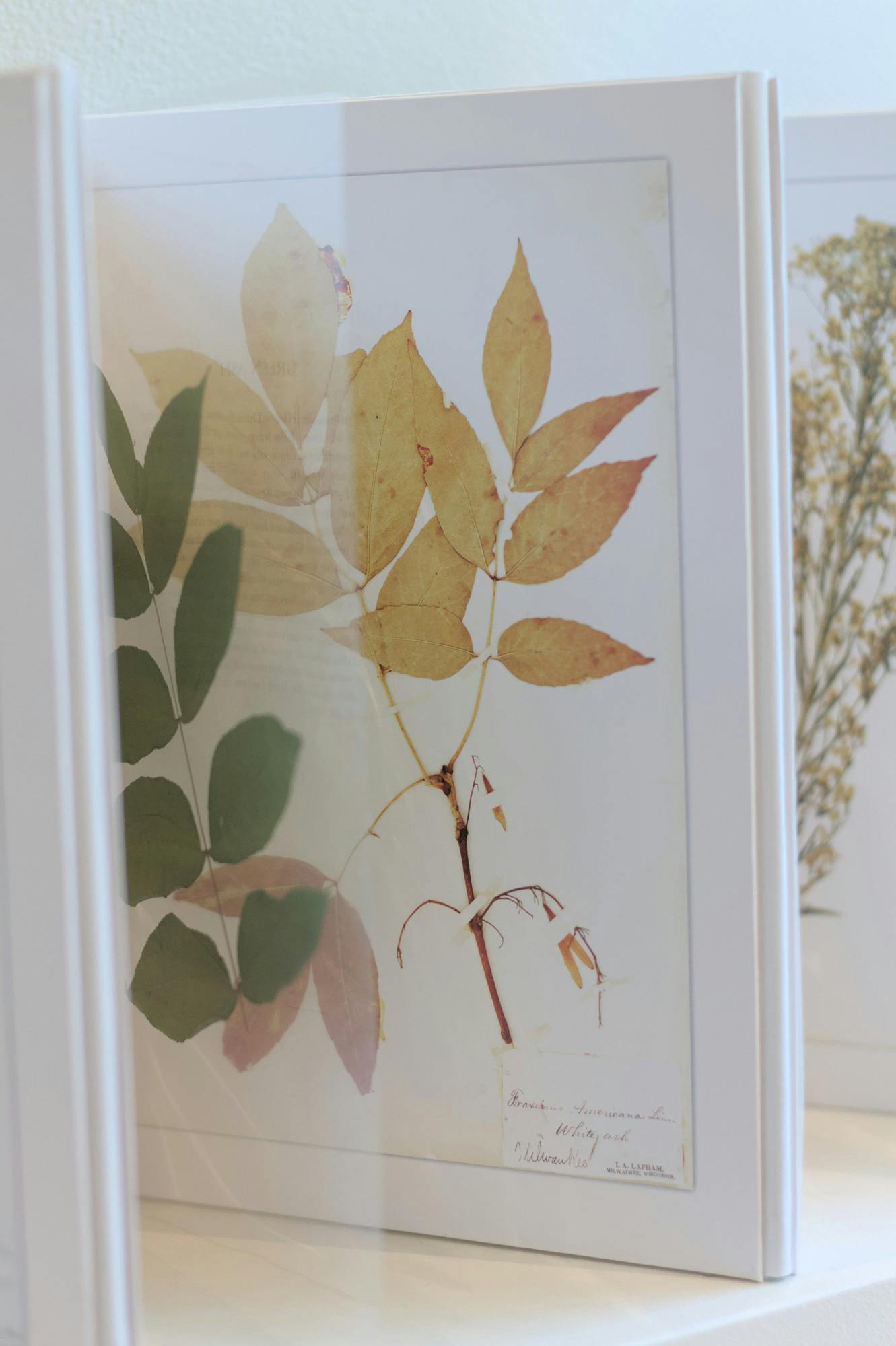 25-10-12_Li_Stephen Eat my Words-14.jpg