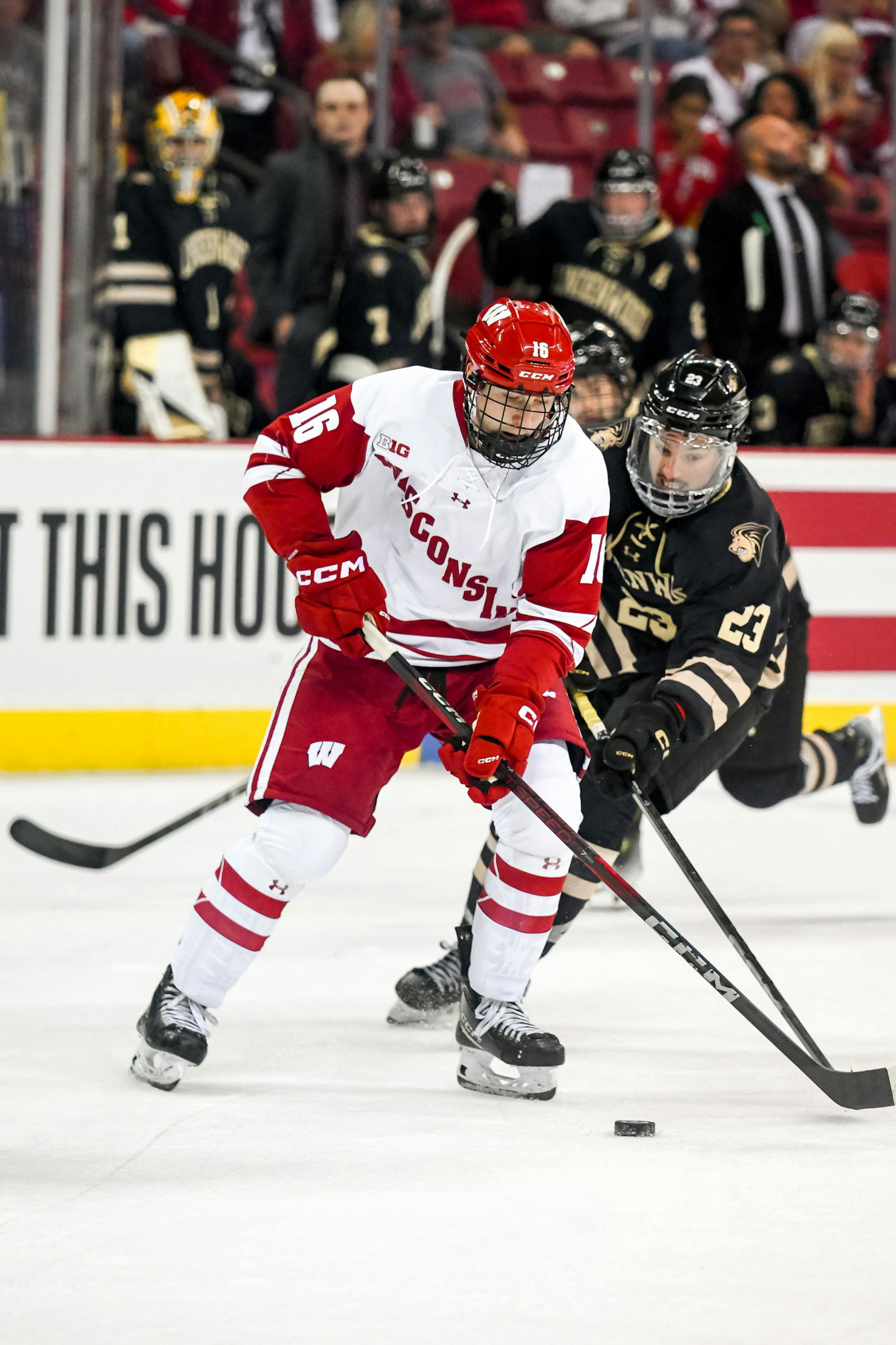 Wisconsin Men's Hockey vs Lindenwood95.jpg