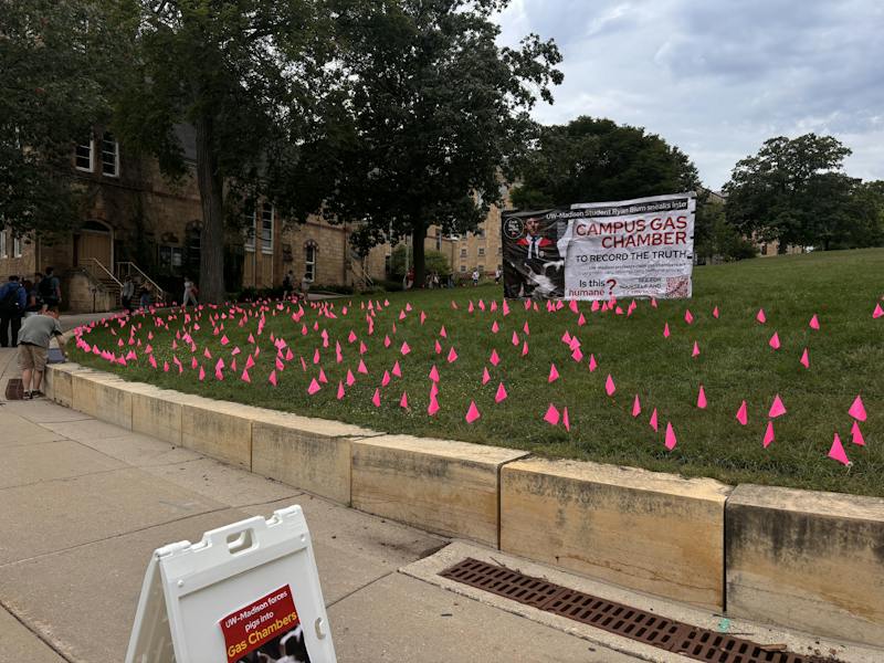 UW-Madison alum says he misrepresented public footage as campus pig gas chamber