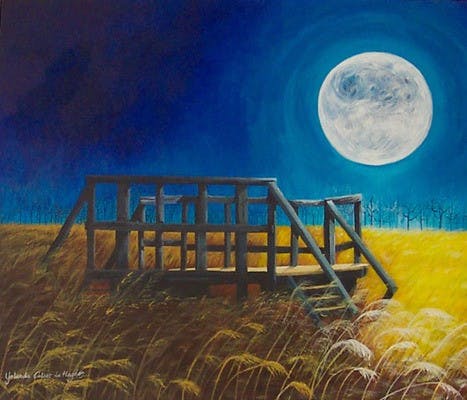 Overture Gallery 'Reflects' local talent, Madison beauty