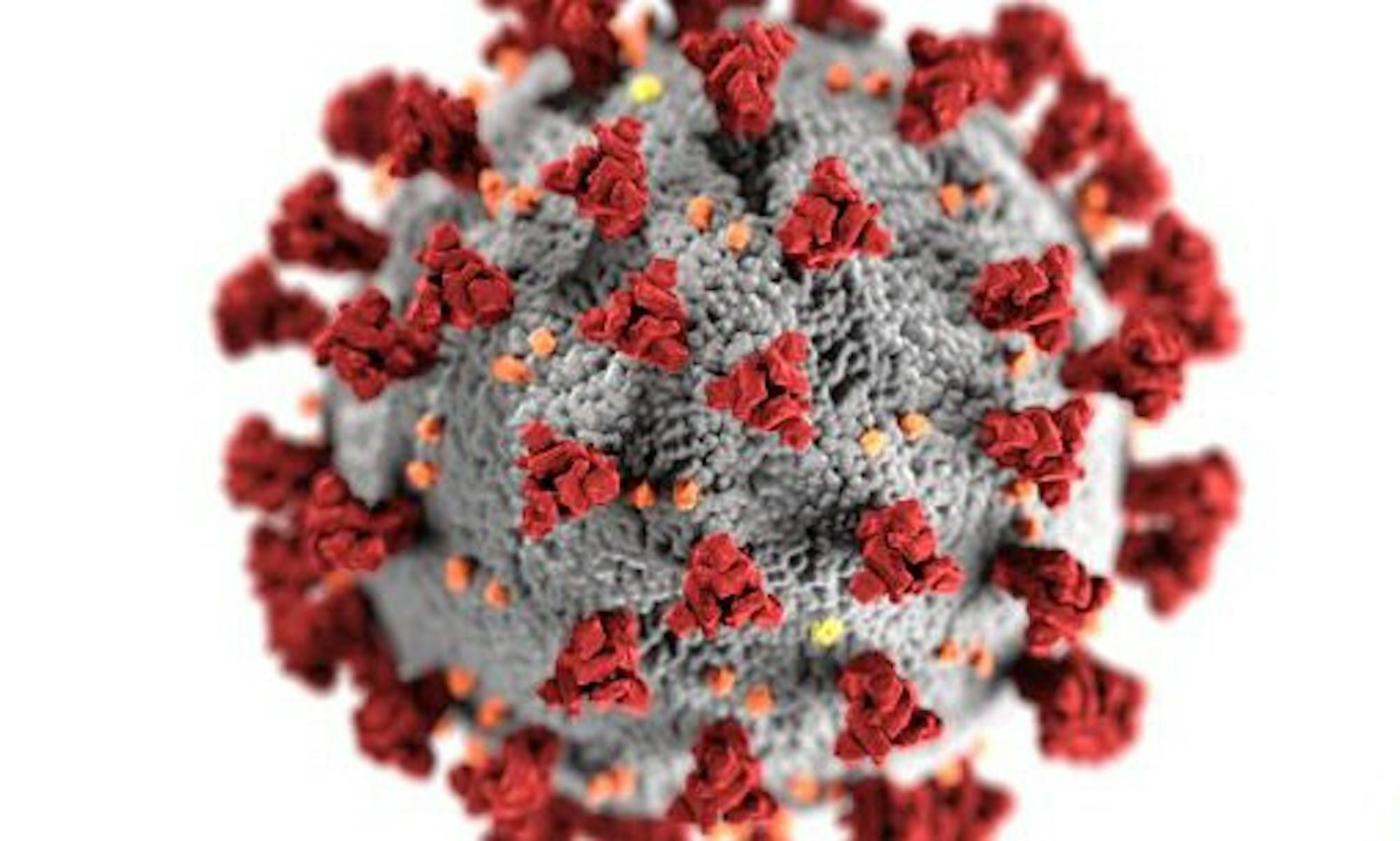 News_Coronavirus.jpg