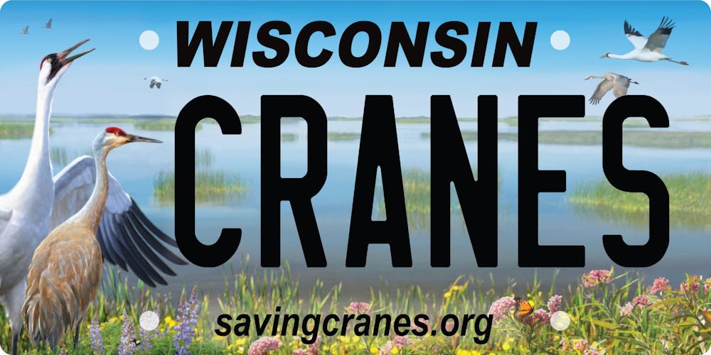 Wisconsin Save the Cranes